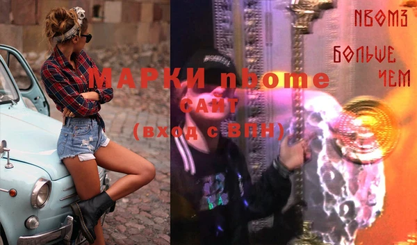 гашик Богданович