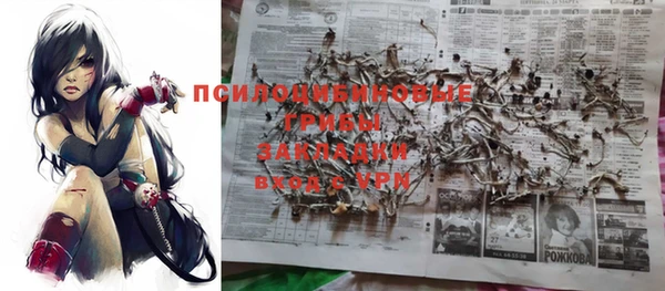 гашик Богданович