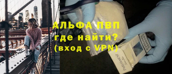 гашик Богданович