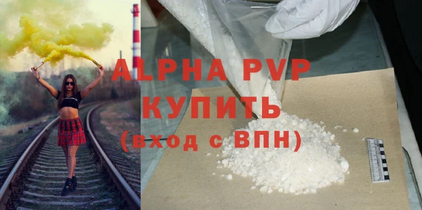 гашик Богданович